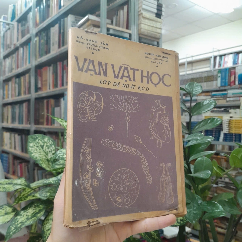 VẠN VẬT HỌC LỚP ĐỆ NHẤT B,C,D - ĐỖ DANH TẨM, NGUYỄN VĂN LONG 546582