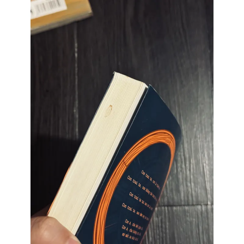 Combo 2c Hermann Hesse 994195