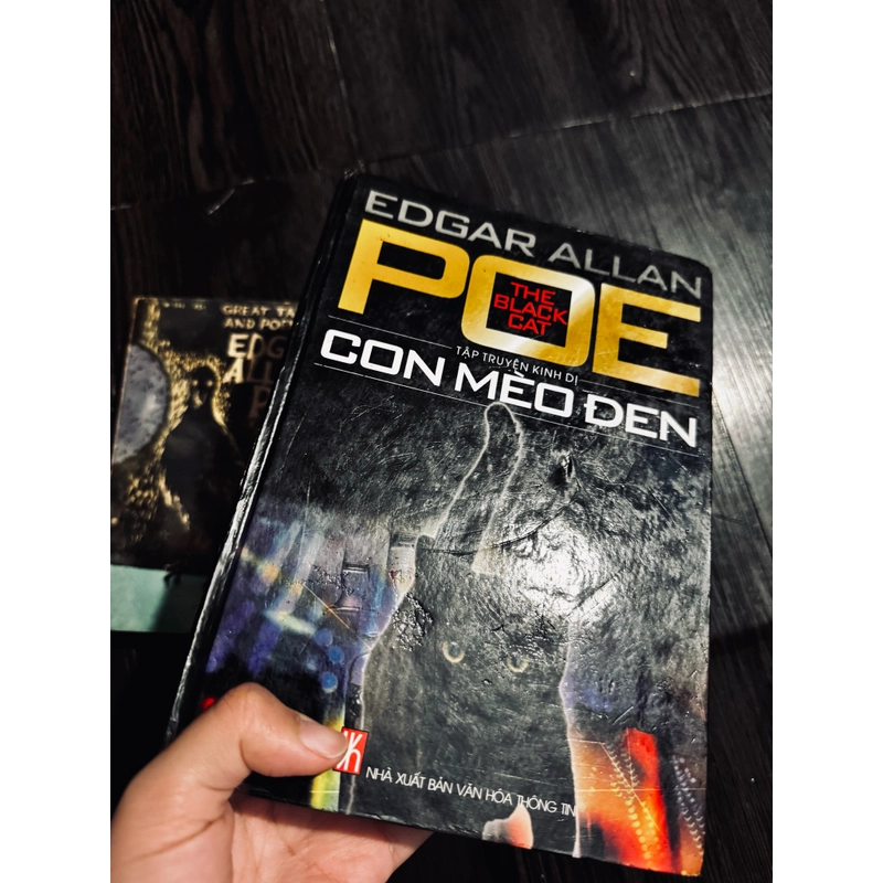 Combo 2 tác phẩm Edgar Allan Poe 447137