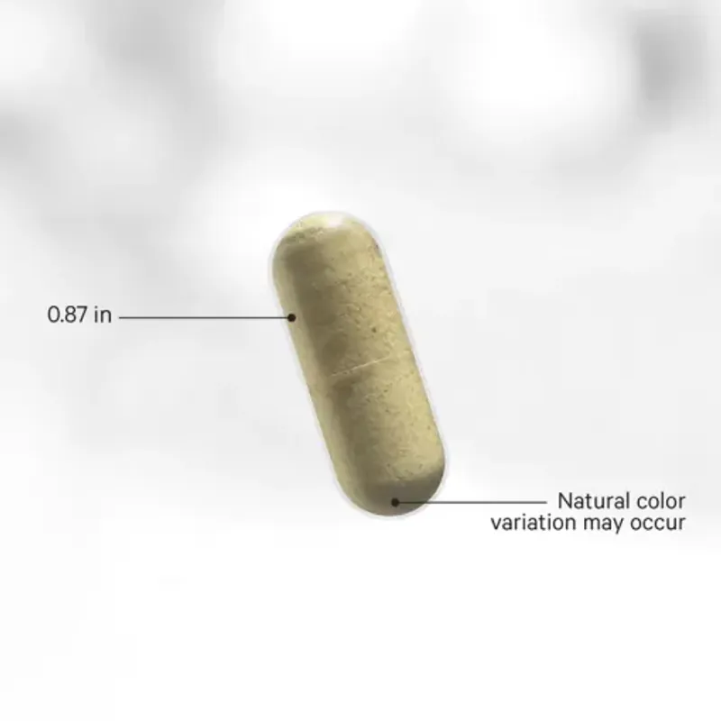 (Hàng CTY mới) Viên Hỗ Trợ Lợi Khuẩn Skin Probiotics Codeage Mỹ - 60 viên 738720