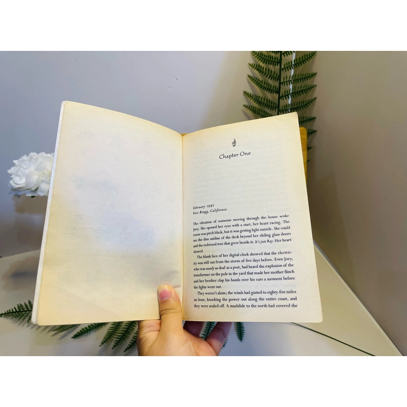 [Sách tiếng Anh 2hand] Like new 90% - Hurt Go Happy - Ginny Rorby 499512