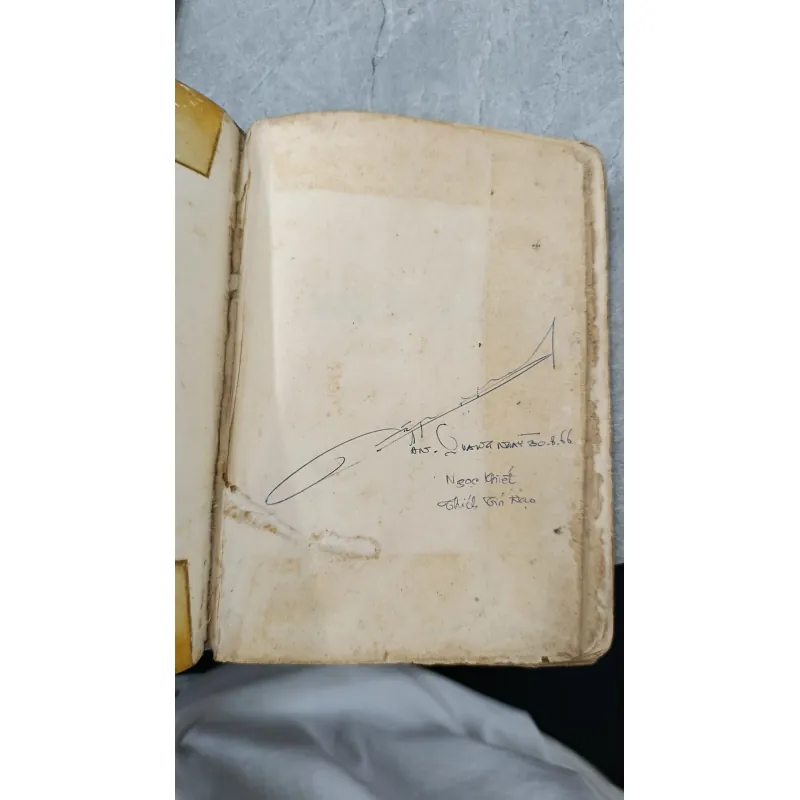 ÁNH ĐẠO VÀNG - VÕ ĐÌNH CƯỜNG 755183