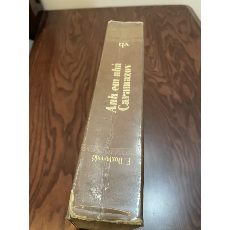 Anh Em Nhà Karamazov 1032322