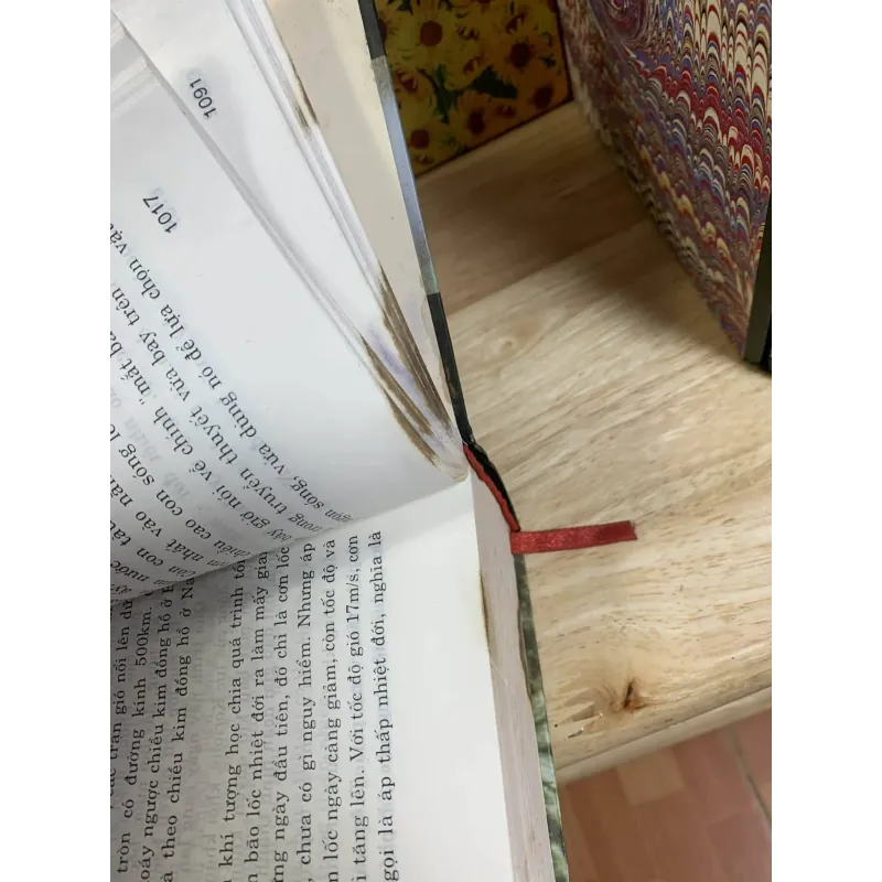 Đi Tìm Tuổi Đất Tuổi Trời - Bìa Cứng Dày Nội Dung Nhiều 754764