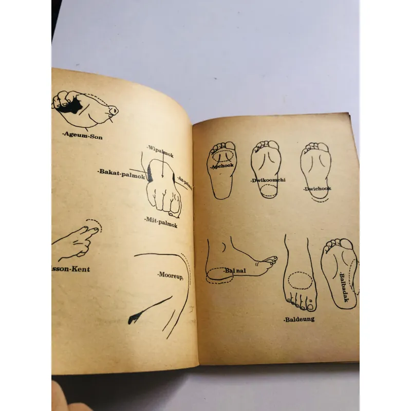 25 BÀI QUYỀN Teakwondo  777030