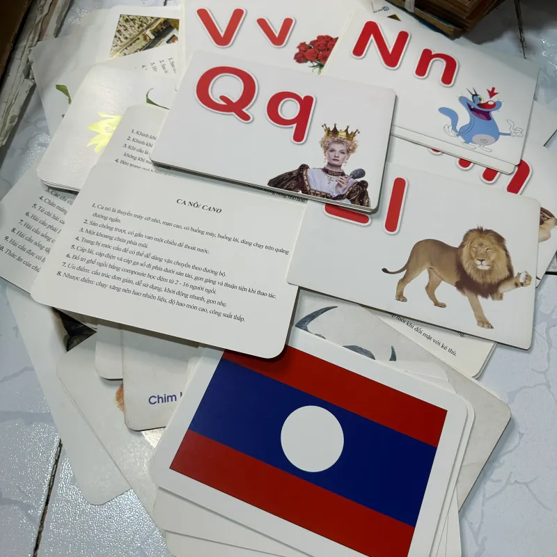 Bộ thẻ dạy trẻ thế giới xung quanh 95 thẻ 1008561