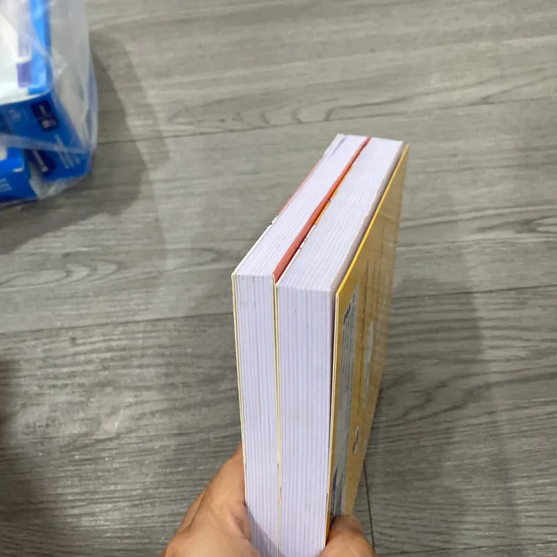 Lược sử kinh tế học lầy lội trọn bộ 2 tập 1022877