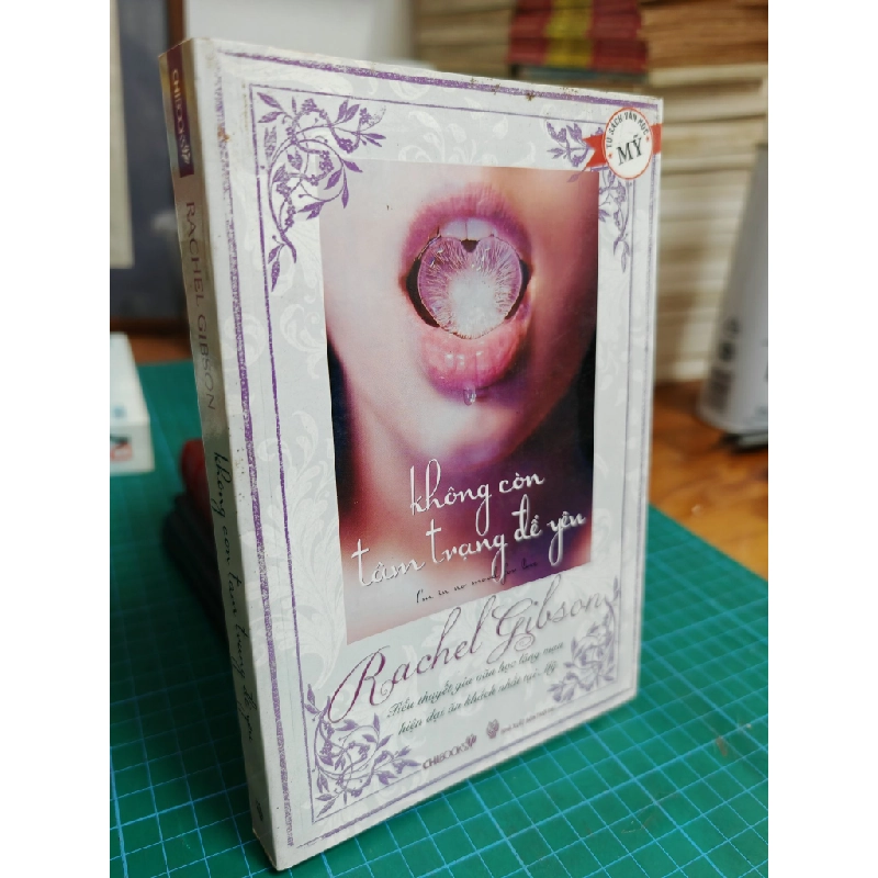 Không còn tâm trạng để yêu - Rachel Gibson 409290