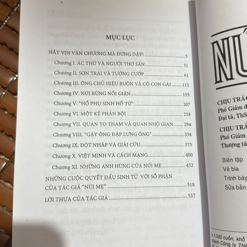 Núi mẹ - Nguyễn Đức Nguyên 517249