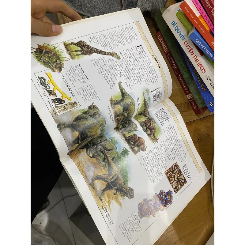 Prehistory and the Dinosaurs - Robert Muir Wood 560832