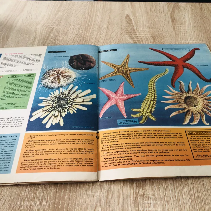 TẠP CHÍ TOUT L’UNIVERS – 1962 (10) 1015900