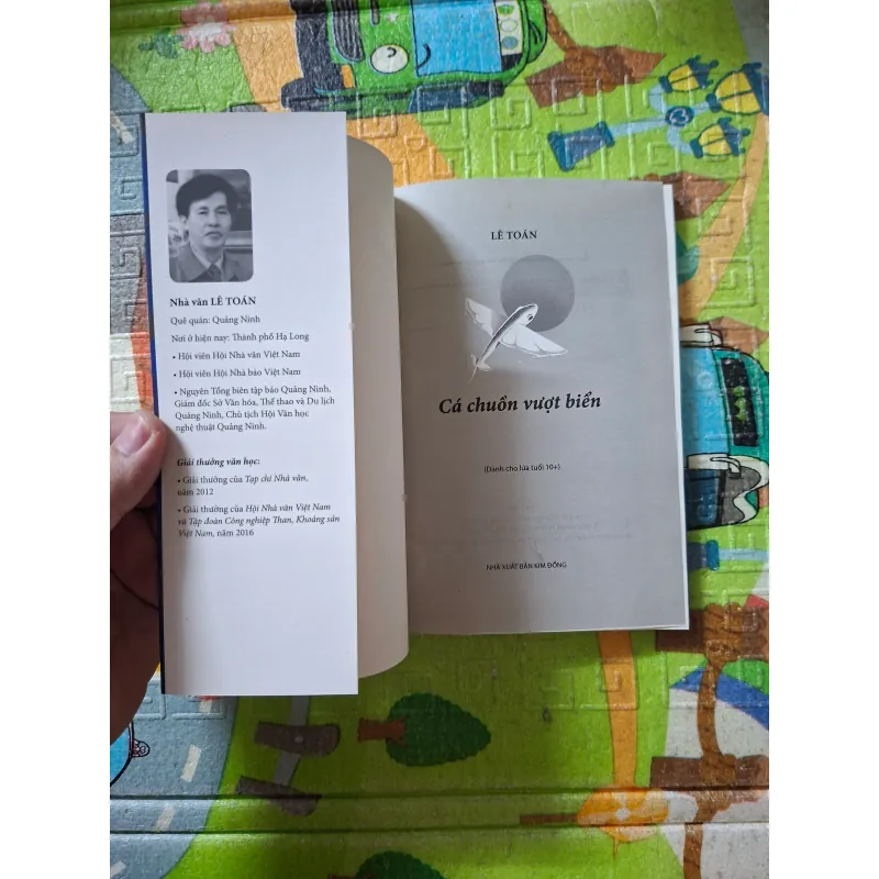 Cá chuồn vượt biển 1041012