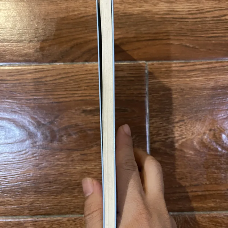 Thư tình - Iwai Shunji (6) 974676