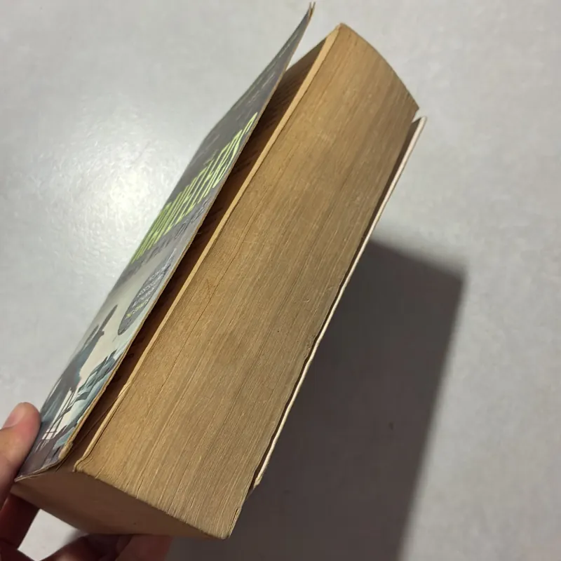 The Travelers - Chris Pavone 791797