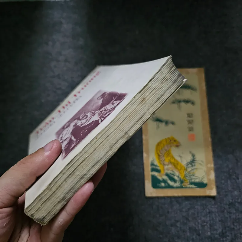 Hoa mưa - Trần thị trường 735629