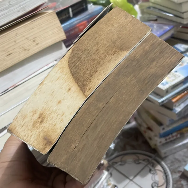 (ngôn tình) - Đế Hoàng Phi - Hoại Phi Vãn Vãn ( 2 tập ) 1004402