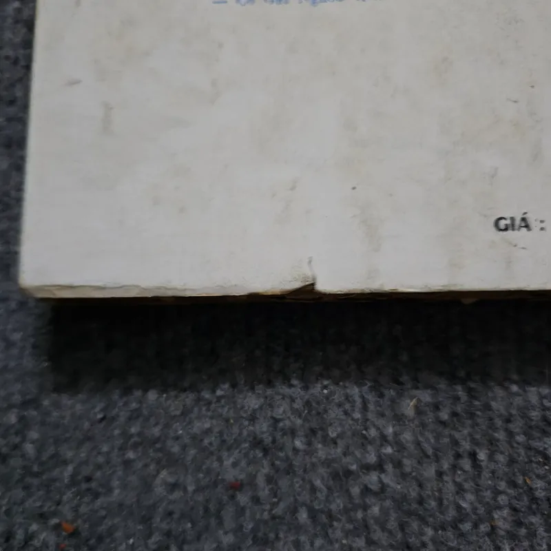 Sự tha thứ muộn màng - Maxence Van der Meersch 733977