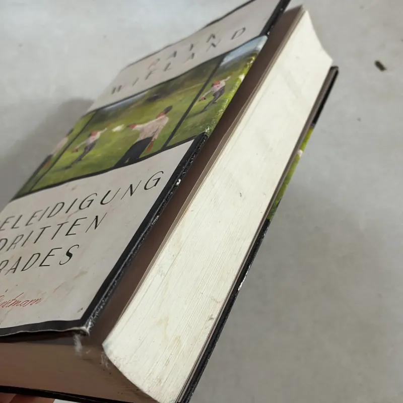 Beleidigung Dritten Gradea - Rayk Wieland 801082