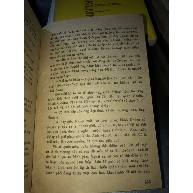 Gabriela Nhành quế và hoa đinh hương - Jorge Amado 928385