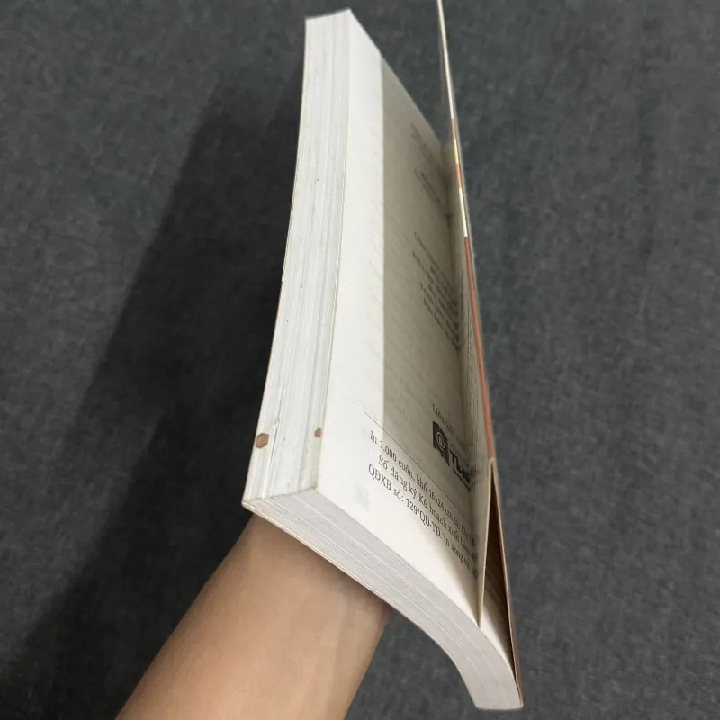 Rồng Hoa Hổ Ấn - Pete Engardio 936903