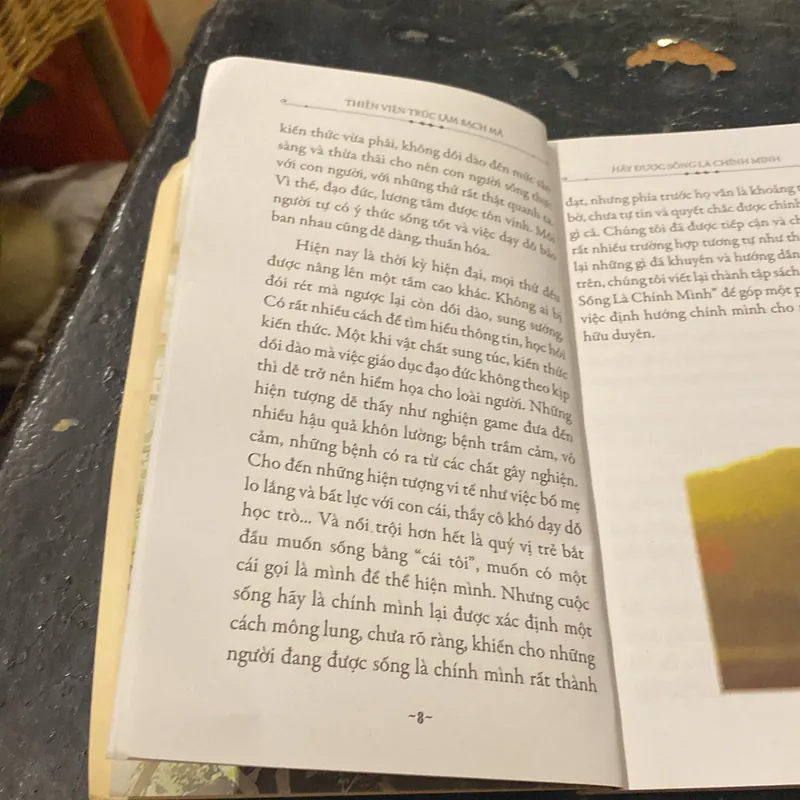 Hãy Được Sống Là Chính Mình- Thích tâm Hạnh 689656