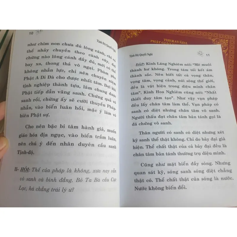 Tịnh Độ Quyết Nghi 712094