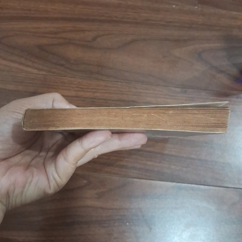 Ngọn đèn đêm qua 508044
