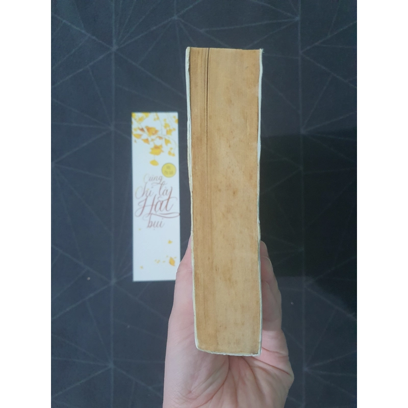 "Cũng chỉ là hạt bụi" - Mộc Phù sinh 476065