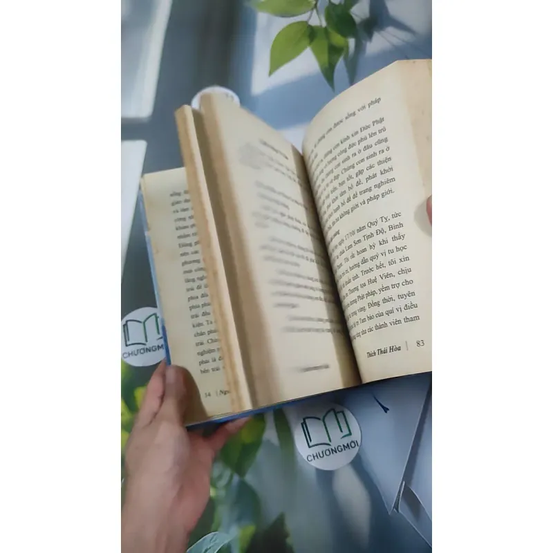 Nguồn Sáng Vô Tận - Thích Thái Hòa 990452