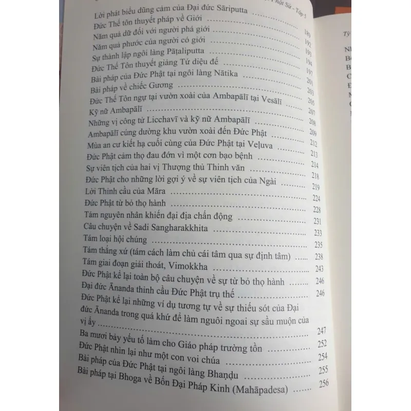 Đại Phật Sử - Tập 5 801034