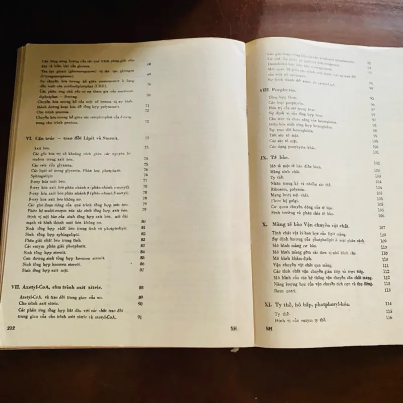 Sinh hoá học hiện đại theo sơ đồ  968702