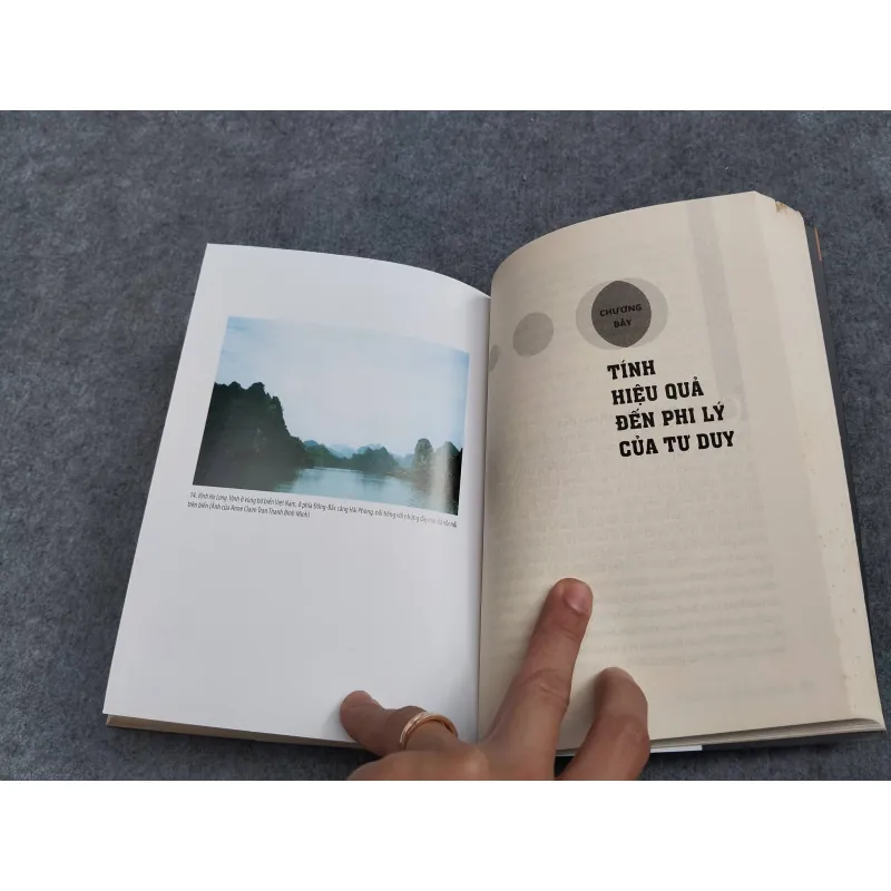 HỖN ĐỘN VÀ HÀI HOÀ 957498