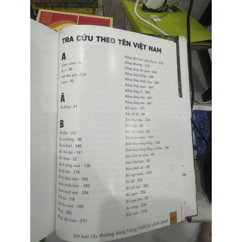 500 loài cây thường dùng trong thiết kế cảnh quan 929827