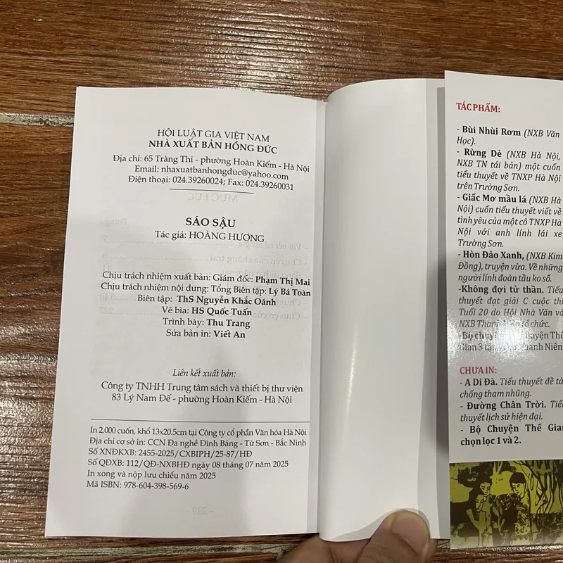 Sáo Sậu - Hoàng Hương 570214