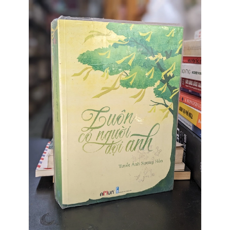 Luôn có người đợi anh - Tuyết Ảnh Sương Hồn 449992