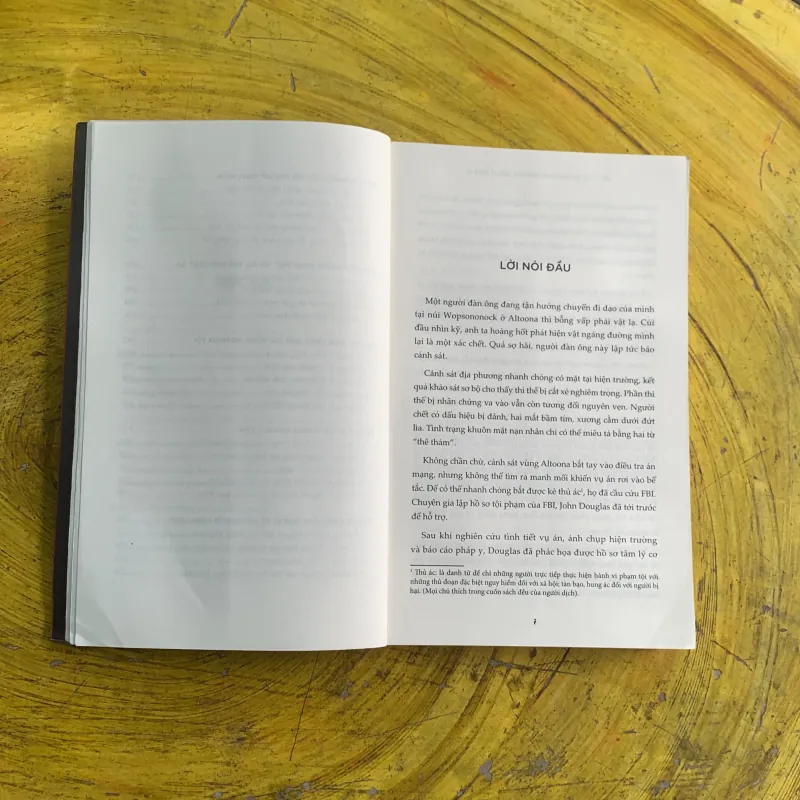 TÂM LÝ HỌC TỘI PHẠM phác hoạ chân dung kẻ phạm tội  937185