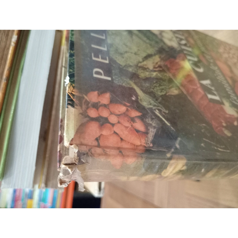 La Cuisine Familiale et Pratique - Pellaprat 284586