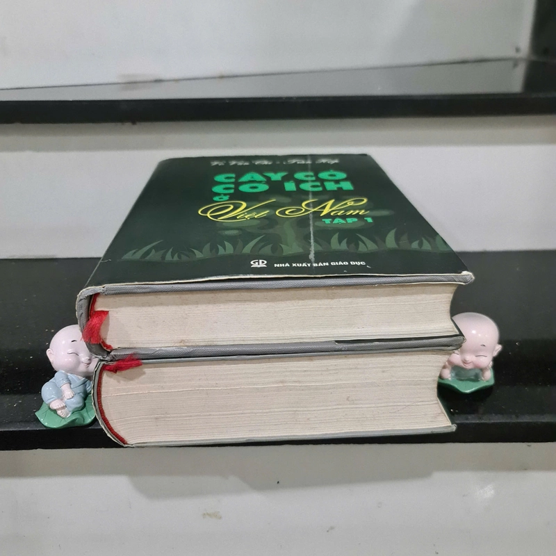 Sách Cây Cỏ Có Ích ở Việt Nam ( Trọn Bộ )- Võ Văn Chi 466023