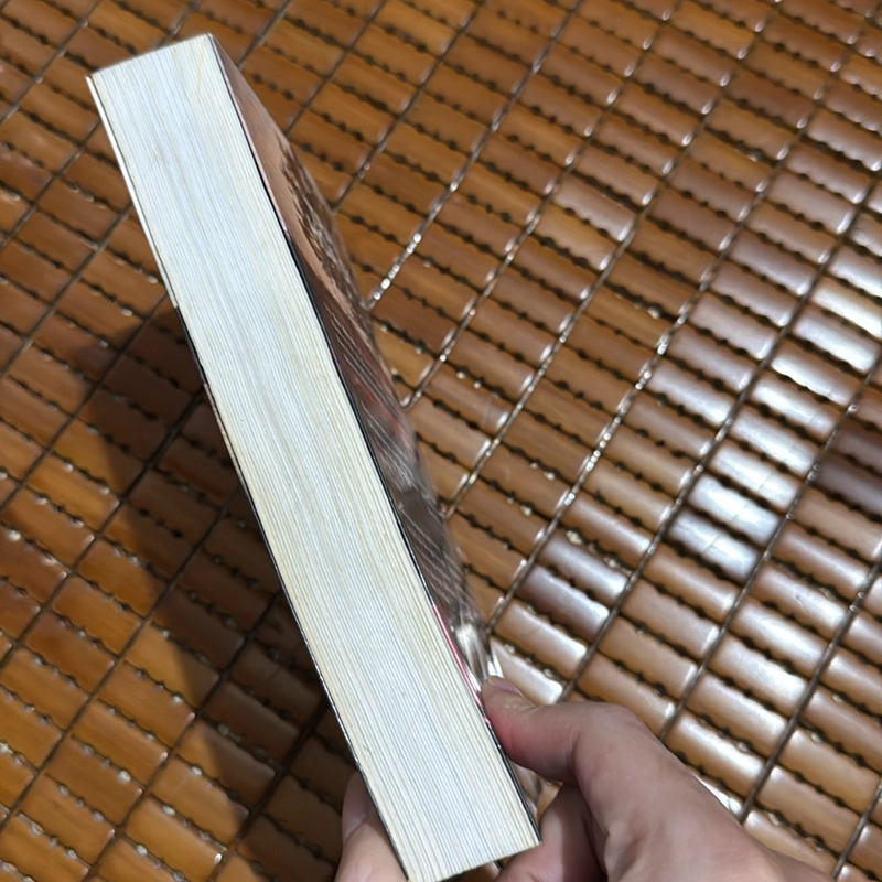 Trại hoa đỏ - Di Li 526266