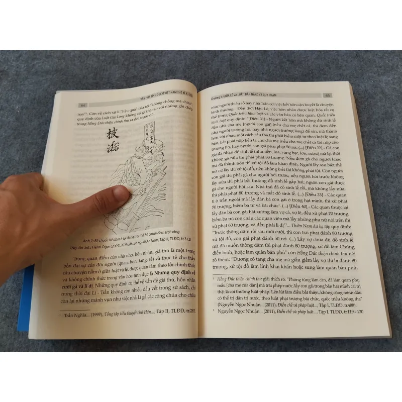 VĂN HOÁ TÍNH DỤC Ở VIỆT NAM THẾ KỶ X - XIX 720737