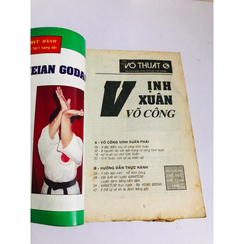 TÌM HIỂU VÕ THUẬT VỊNH XUÂN VÕ CÔNG 542164