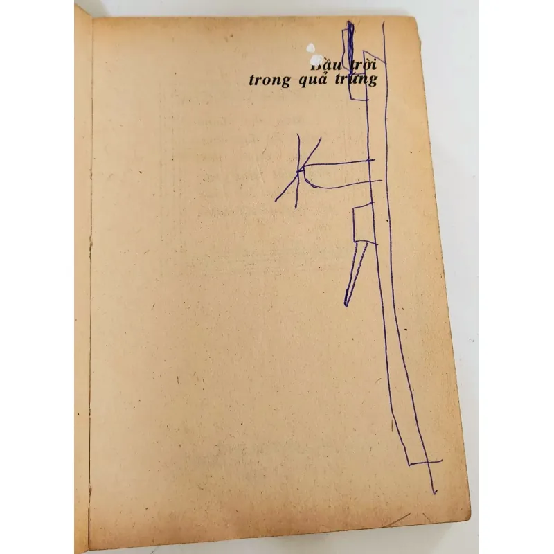 Nhà thơ Xuân Quỳnh: BẦU TRỜI TRONG QUẢ TRỨNG 747541