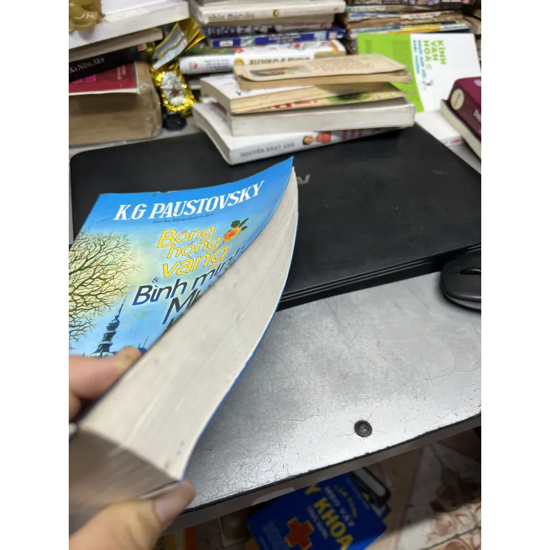 Bông Hồng Vàng Và Bình Minh Mưa 1004337