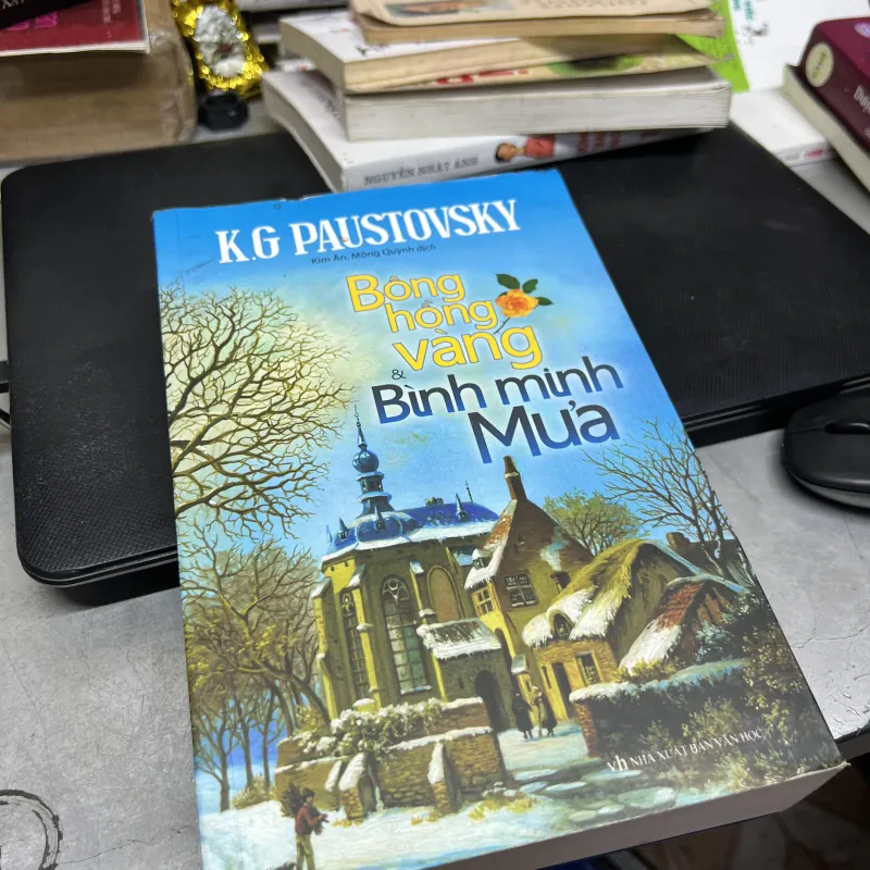 Bông Hồng Vàng Và Bình Minh Mưa 1004337