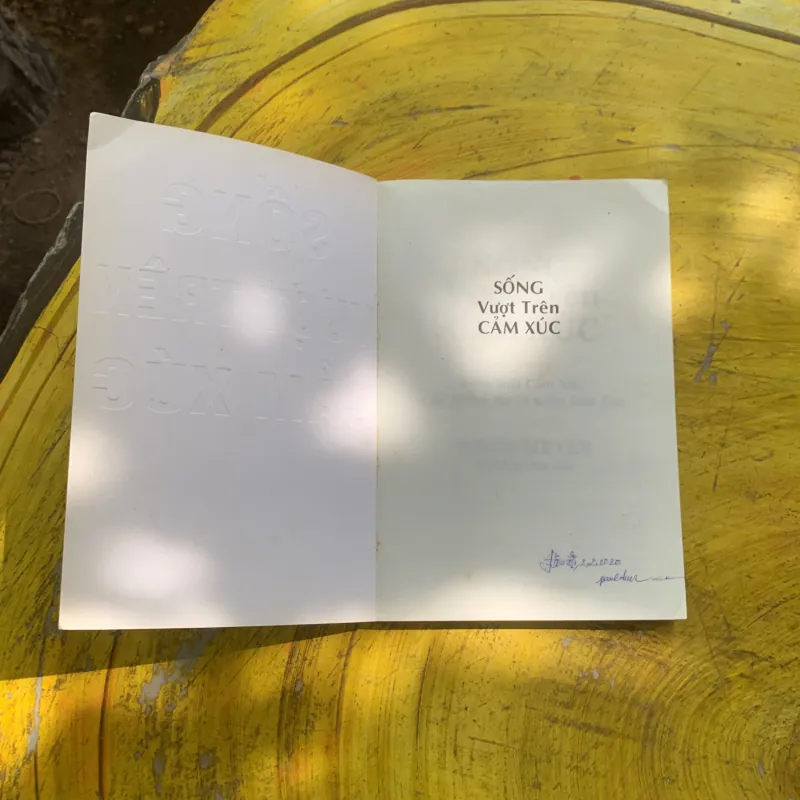 SỐNG VƯỢT TRÊN CẢM XÚC - JOYCE MEYER 937359