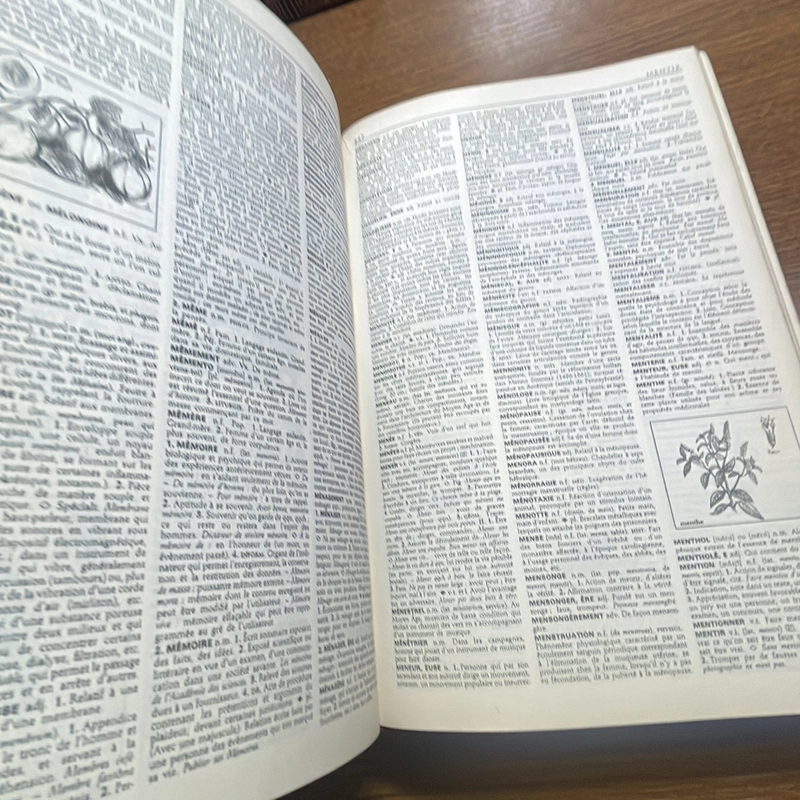 Le Petit Larousse Illustre 1993 Từ điển 408650