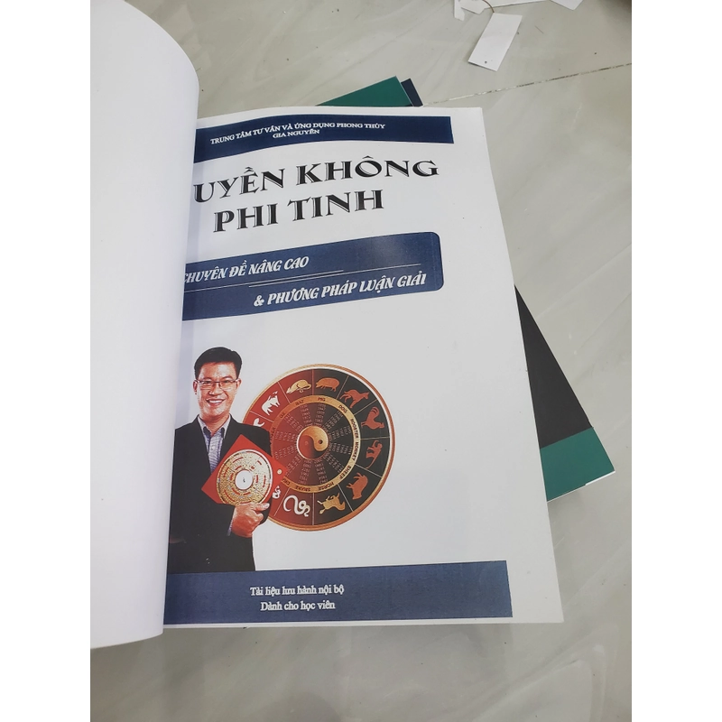 Huyền không phi tinh. Chuyên đề nâng cao và phương pháp luận giải  385605