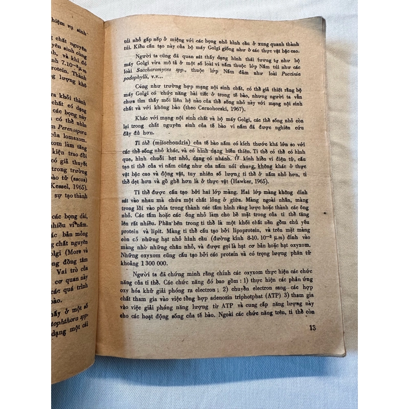Sách Vi Nấm 503420