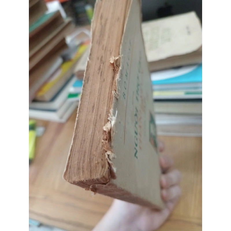 Người thợ cạo thành Xêvin - Bômacse 523570