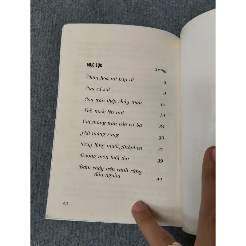 ĐÁM CHÁY TRÊN CÁNH RỪNG ĐẦU NGUỒN 720699